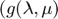 $(g(\lambda,\mu)$